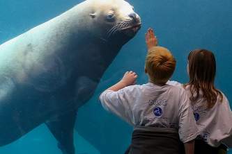Seward wildlife parks alaska sealife center
