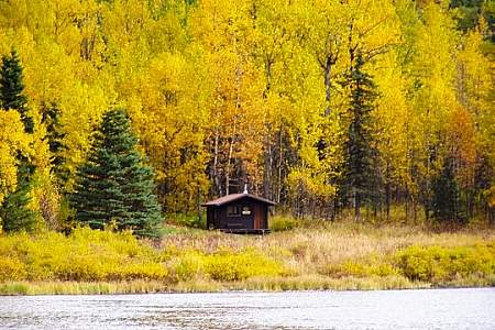 Swan Lake Cabin Seward
