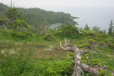 Perry Island W Campsite