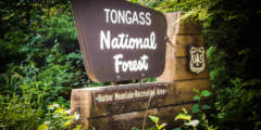 Tongass National Forest