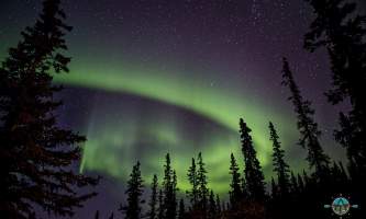 Traverse alaska winter activities MF201609020006