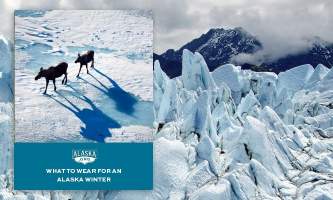 Trip resources wear winter