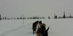 Trapper Creek-Petersville Trail System