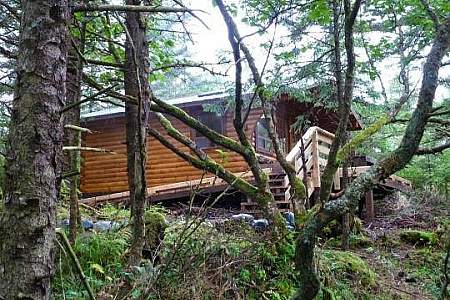 White Sulphur Springs Cabin